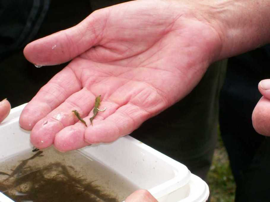 Ulverston Angling Photo